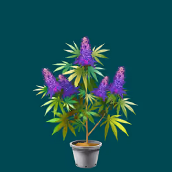 NFTokin #4630