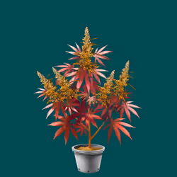 NFTokin #4610