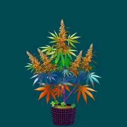 NFTokin #9774