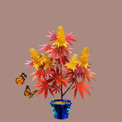 NFTokin #1642