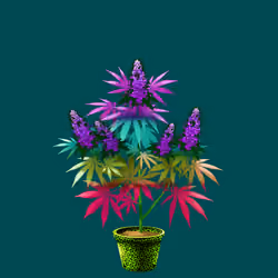 NFTokin #3366