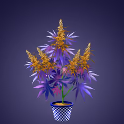 NFTokin #8356