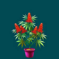 NFTokin #8327