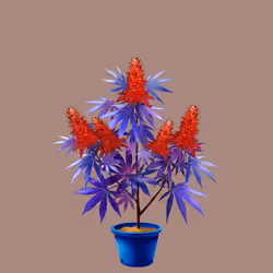 NFTokin #9445