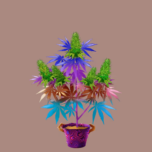NFTokin #11952
