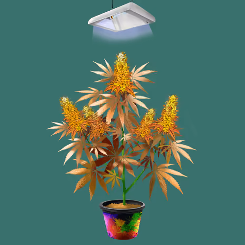 NFTokin #6489
