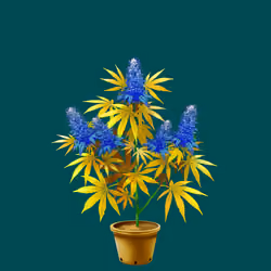 NFTokin #6088