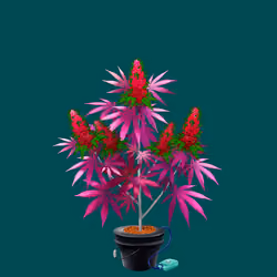 NFTokin #9462