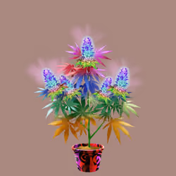 NFTokin #12285