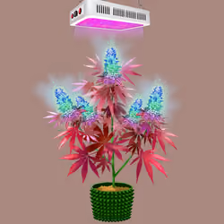 NFTokin #535