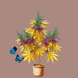 NFTokin #7883