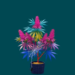 NFTokin #9026