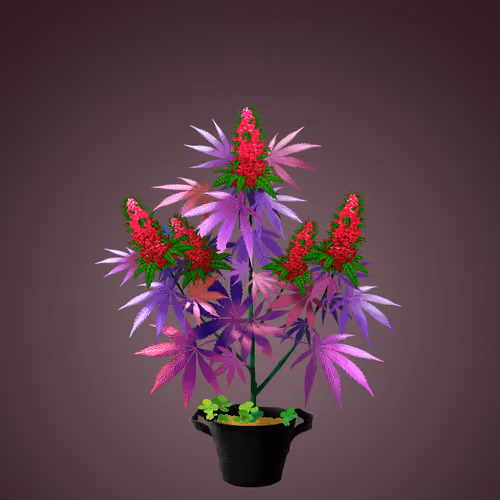 NFTokin #12040