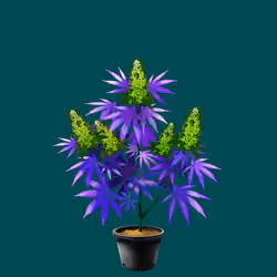 NFTokin #1870