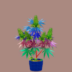 NFTokin #10886