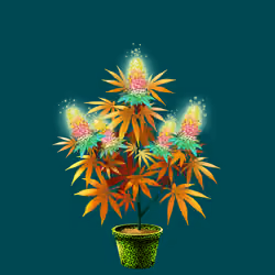 NFTokin #12860