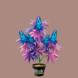 NFTokin #11540