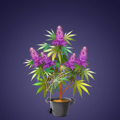 NFTokin #12018