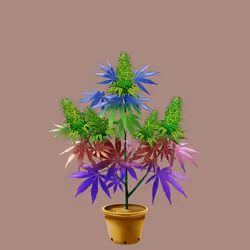 NFTokin #8232