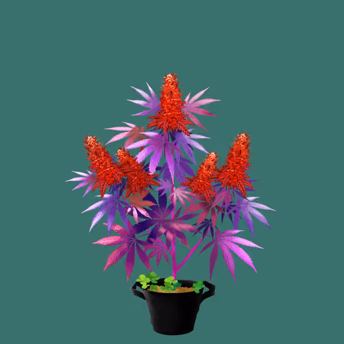 NFTokin #9219