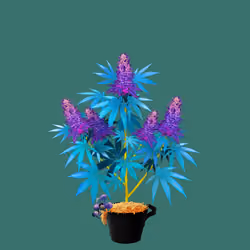NFTokin #6119
