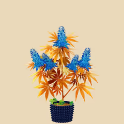 NFTokin #4870