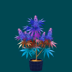 NFTokin #1654