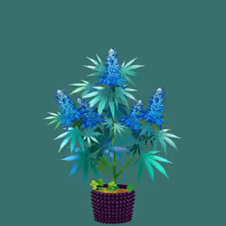 NFTokin #6102