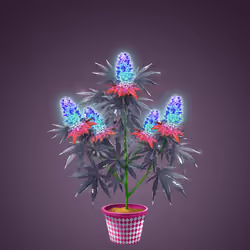 NFTokin #659
