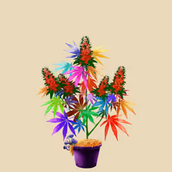 NFTokin #973