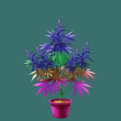 NFTokin #9590