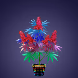 NFTokin #6842