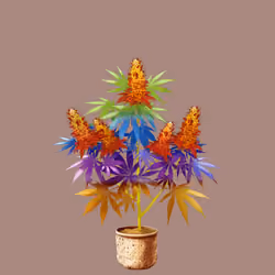 NFTokin #11495
