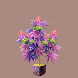 NFTokin #11750