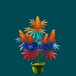 NFTokin #3431