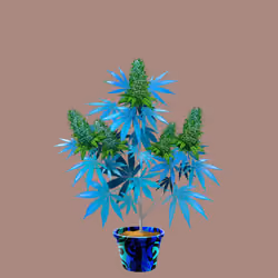 NFTokin #6478