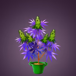 NFTokin #9398