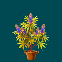 NFTokin #7770