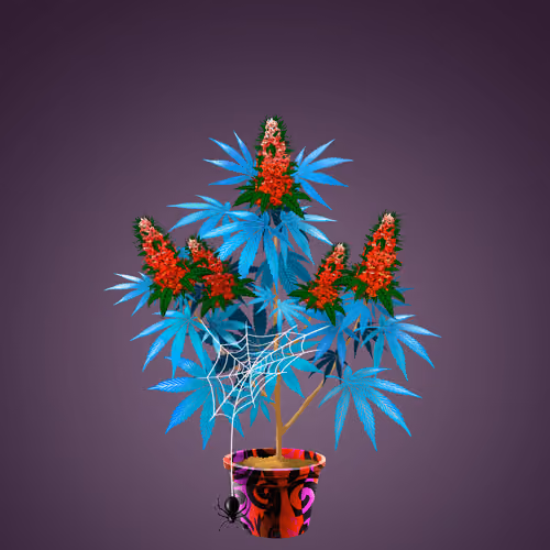 NFTokin #7616