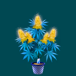 NFTokin #10098
