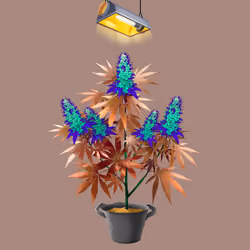 NFTokin #1490