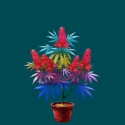 NFTokin #9758