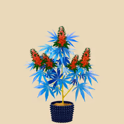 NFTokin #11398
