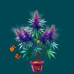 NFTokin #9495