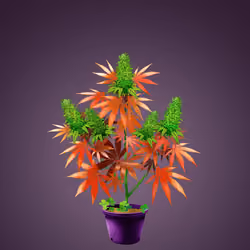 NFTokin #8596