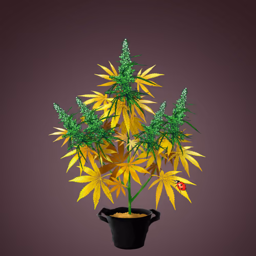 NFTokin #6314