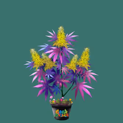 NFTokin #8633