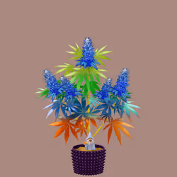 NFTokin #7492