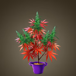 NFTokin #5987