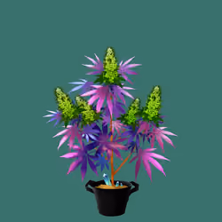 NFTokin #1748